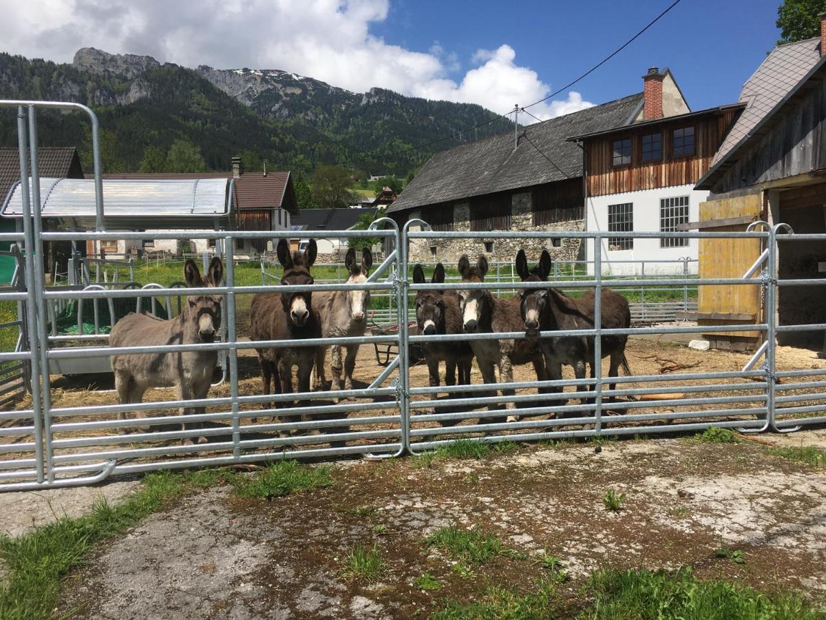 Weng im Gesause Wengerwirt Zur Laube B&B 외부 사진