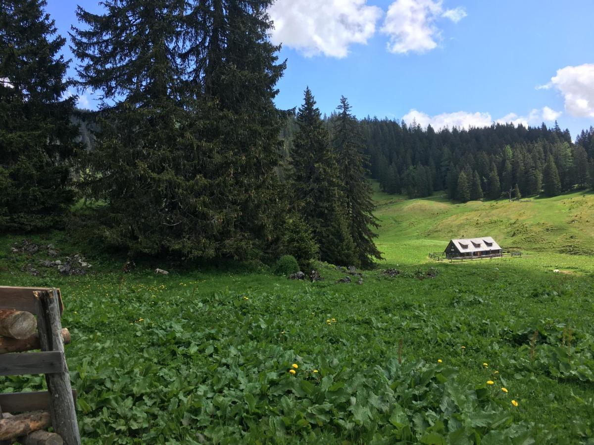 Weng im Gesause Wengerwirt Zur Laube B&B 외부 사진
