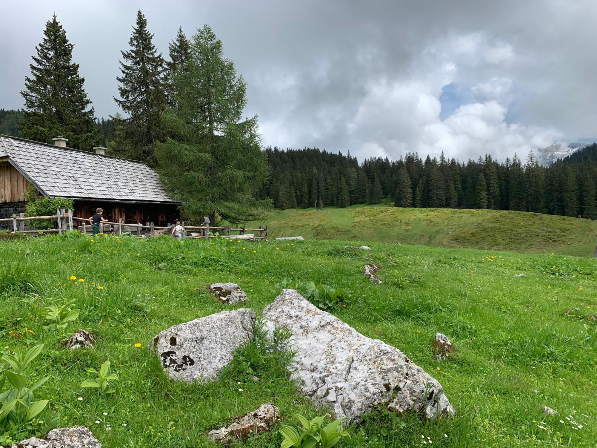 Weng im Gesause Wengerwirt Zur Laube B&B 외부 사진